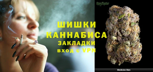 индика Ельня