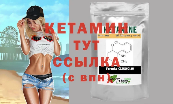 индика Ельня