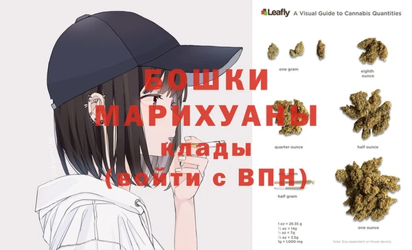 гашик Елизово