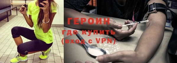 индика Ельня