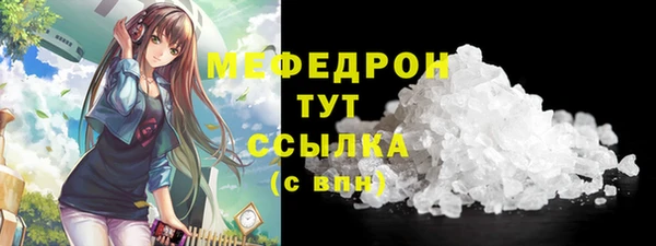 индика Ельня