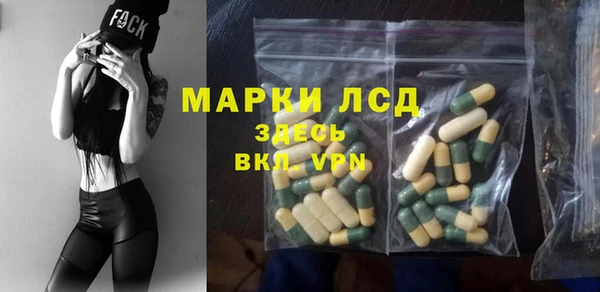 индика Ельня