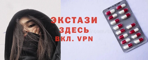 индика Ельня