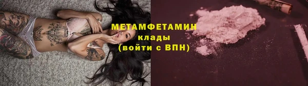 индика Ельня
