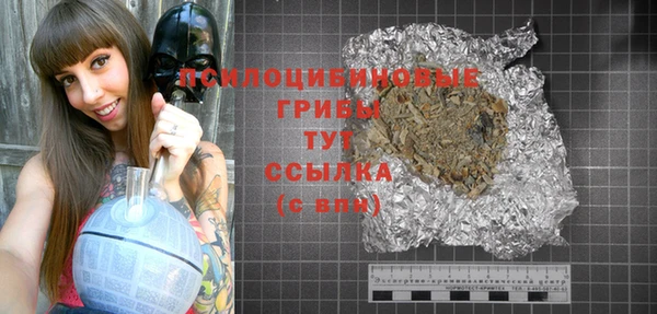 гашик Елизово