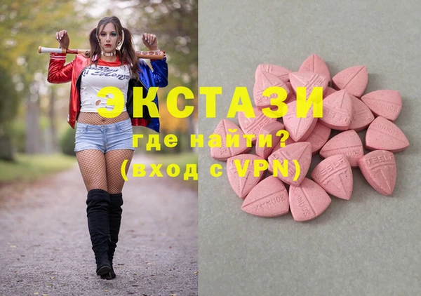 индика Ельня