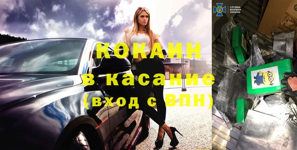 индика Ельня
