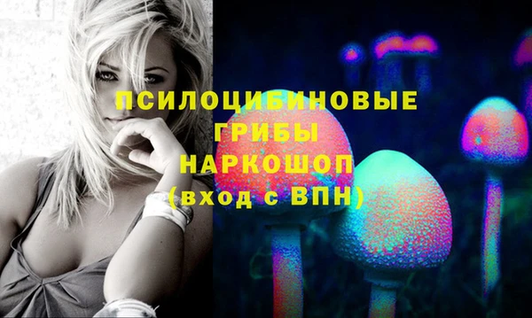гашик Елизово