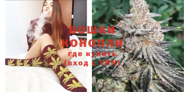 гашик Елизово