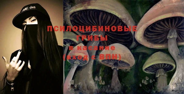 гашик Елизово