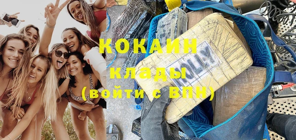 индика Ельня