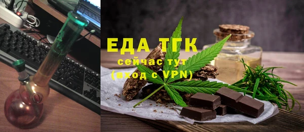 индика Ельня