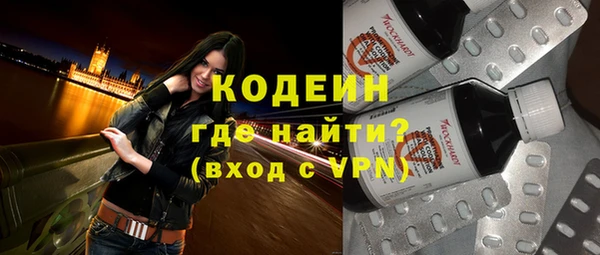 индика Ельня