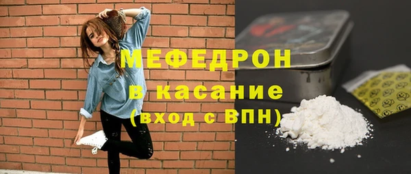 индика Ельня