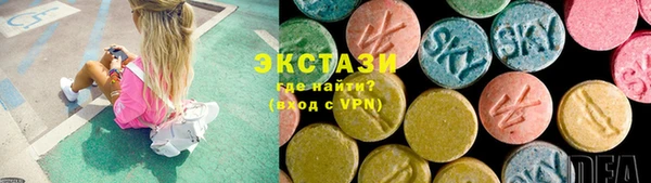 индика Ельня
