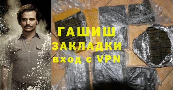 индика Ельня