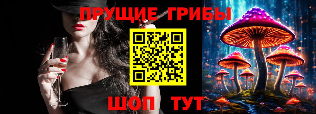 Зеленогорск  Псилоцибиновые грибы Psilocybe  Вход с VPN 
